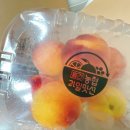 화천농협 | 농협과일맛선 믿고 먹는 국산 과일정기배송 리얼 후기