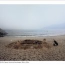 섬을찾는사람들 이미지