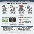 사회복지법인중도원(보은의집) | 8만 원에 식용 개농장으로 팔려간 반려견 ‘곰순이’ 끝내 결국... | 코코의애니멀