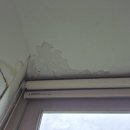 관악-현장-관악-704 | 🏘️서울시 관악구 신림동 현대아파트 창틀빗물누수...누수로부터 천장 페인트까지 벗겨졌던 피해현장사례