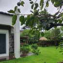 한담 낭뜰 이미지