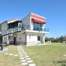 로젤 147 이미지