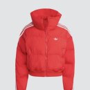 2966 | 아디다스 크롭 다운 퍼퍼 후기: 일산 스타필드 품절 → 무신사 구매