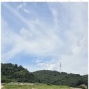 나무부동산중개 이미지