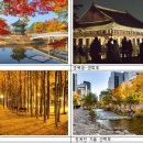 남부시장부산한복 이미지