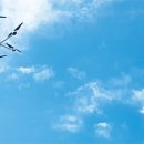 오케이드론 이미지