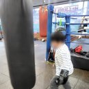 골든보이복싱체육관 이미지