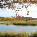 화랑유원지 이미지