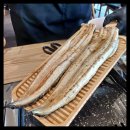 월야88장어 이미지