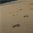 바다가보이는풍경