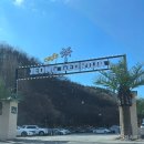 강아지 그리다 | [경기_용인] 용인 처인구 대형 테마 카페 반려동물 동반 가능한 “정그리다” 내 돈 내산 후기