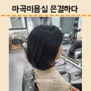 삼각카클리닉 | 마곡미용실, 은결하다 마곡 2호점 단발 레이어드 C컬펌 후기! (by.다은 디자이너)