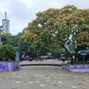 가작어린이공원 이미지