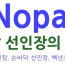 노팔(Nopal)선인장의 효능 이미지