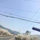 고암성산대로 이미지