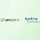 와이 태양광발전소 이미지