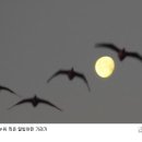 내 마음속 작은 다락방 이미지