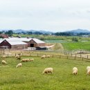 종일농원 이미지