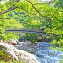 산청이네