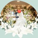 케이트 - 서구 둔산로31번길 38 | 서울 케이트린 웨딩드레스 본식 후기, 미카도 실크 드레스 솔직 리뷰