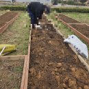 시영농장 이미지