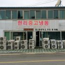 현리중고냉동 이미지