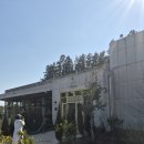 앨리스케이커리제주 | 제주 쌀케이크 카페 🍰 숲속 감성 카페 앨리스 케이커리 제주 방문 후기