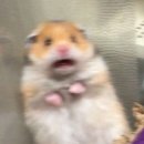 신도시남로142번길 이미지