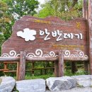 멍애전망대밑(카페) 네이버블로그