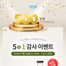 발효진심