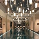 역삼복지 | [서울 역삼] 조선팰리스 강남 호캉스 | 스테이트룸, 생일, 룸서비스, 수영장 후기