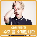 가호메디칼 이미지