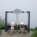 강원도 정선 가볼만한곳) 추천 여행코스 내돈내산 : 하이원 드론쇼 곤돌라 화암동굴 삼탄아트마인 정선...