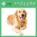 보라매동물병원 이미지