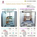 수원고양이호텔 가토캣슬 이미지