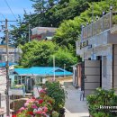 구)울릉중학교 이미지