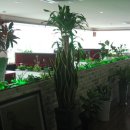 계명대학교 동문 4 이미지