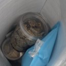 마시찌멍 이미지