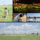 농협사료 R/D 센터 안성목장1 | 아이랑 주말에 뭐하지? 5~6월, 어린이날 서울 근교 가볼만한 곳 추천!