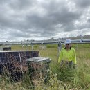 태양팜 | 호주워홀🇦🇺 솔라팜 드디어 왔습니다! Solar farm 후기