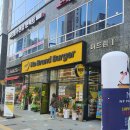 새솔동 &#34;노브랜드버거&#34; 오픈 3/18일 과연 맛은? 메뉴, 가격, 맛 [내돈내산 찐후기]