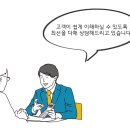 세무회계한민