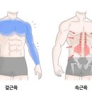 웰니스헬스 제이필라테스 요기요가 이미지