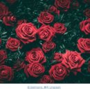 원곡1로1R 이미지