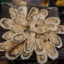 진양자동차공업사 | 서울 강남 조개구이 추천 철이네 조개찜구이