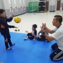 상록유도관 이미지