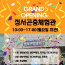 괴산군도서관 | 괴산 아이와 가볼 만한 곳 2월 11일 오픈한 정서곤충체험관 장수풍뎅이 도서관