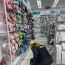다이소포항