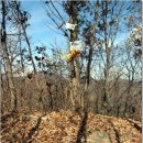 문촌3리 이미지