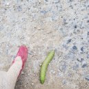 부리농협판매장 이미지